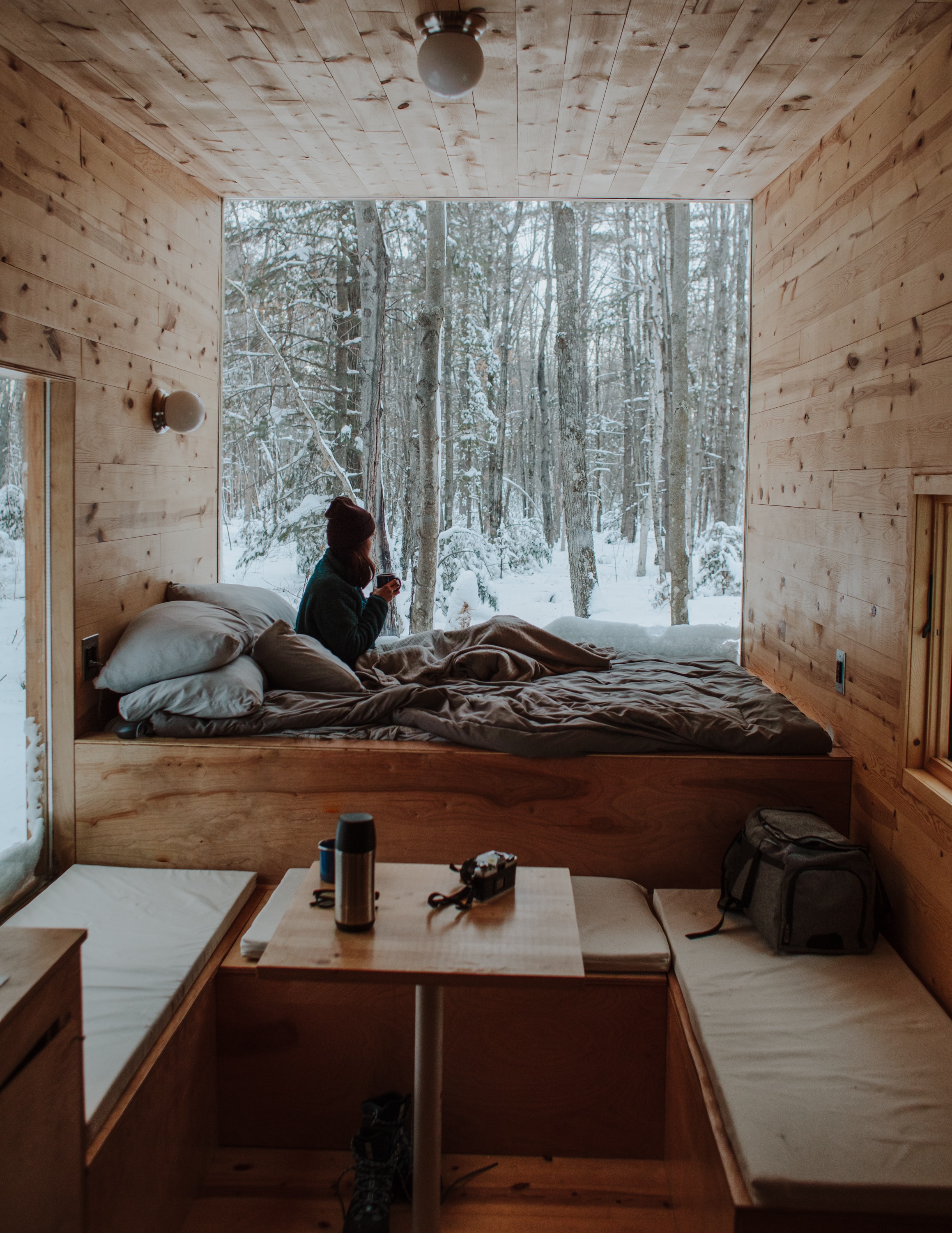 standard cabin